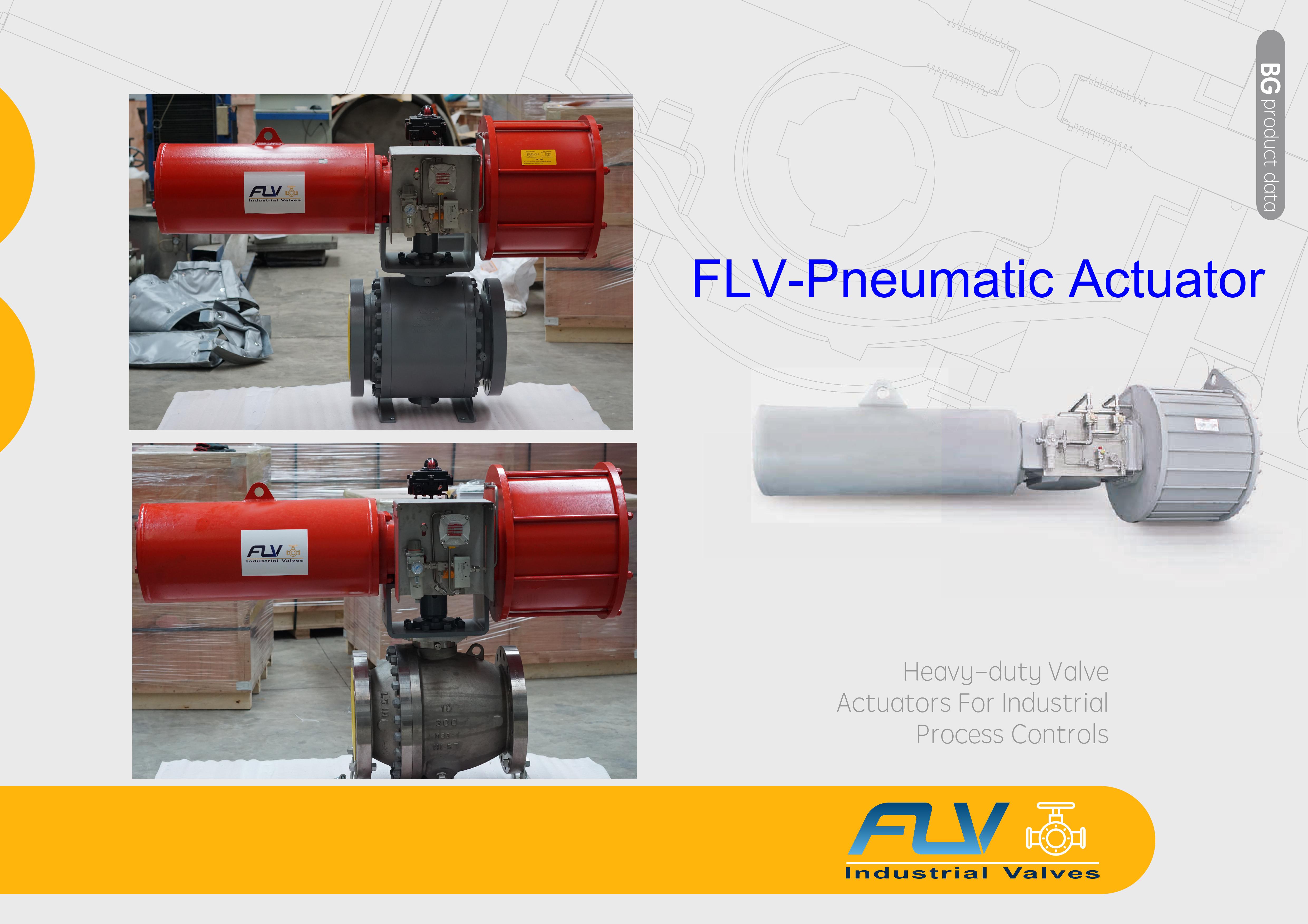 FLV CONTROLS Pneumatic Actuator FLV CONTROLS Pneumatic Actuator