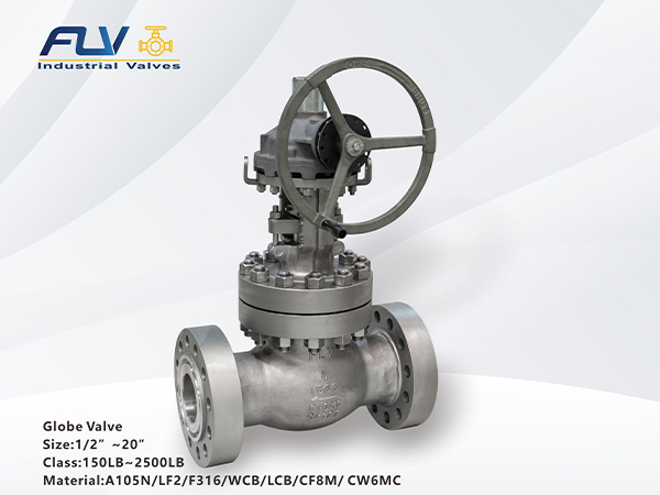 FLV GLOBE VALVES1