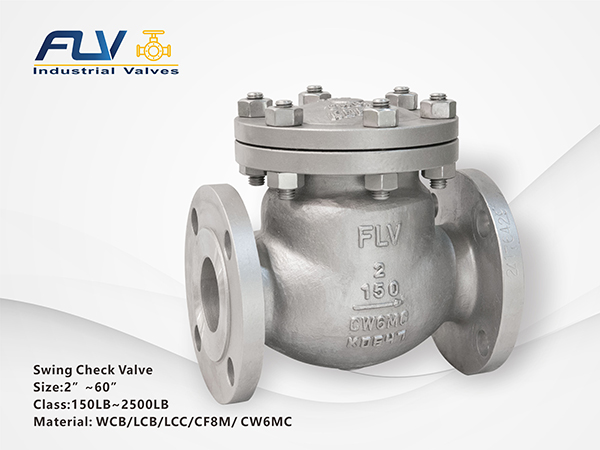 Swing Check Valve1